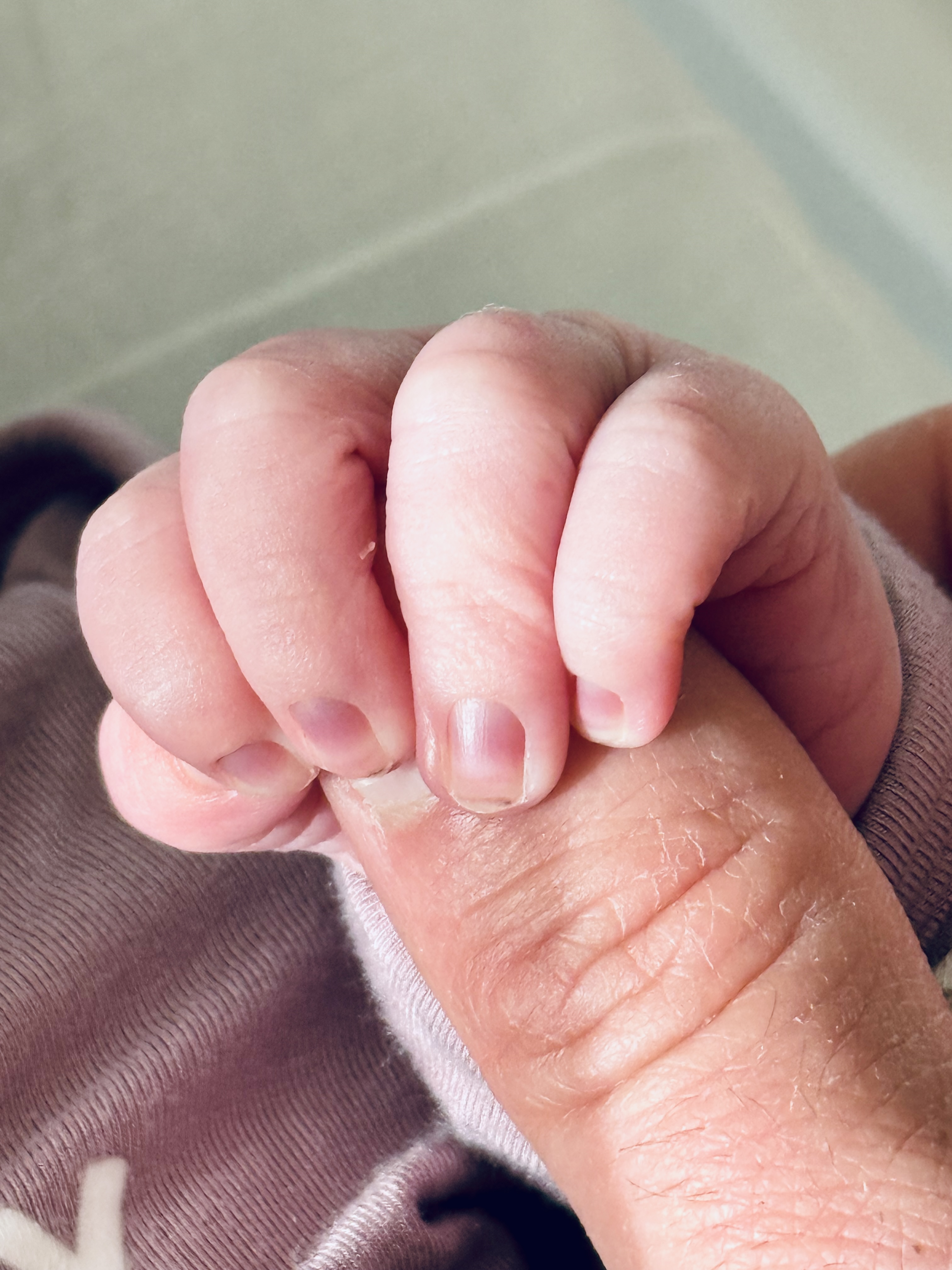 Margaux's hand gripping a finger, a few days old